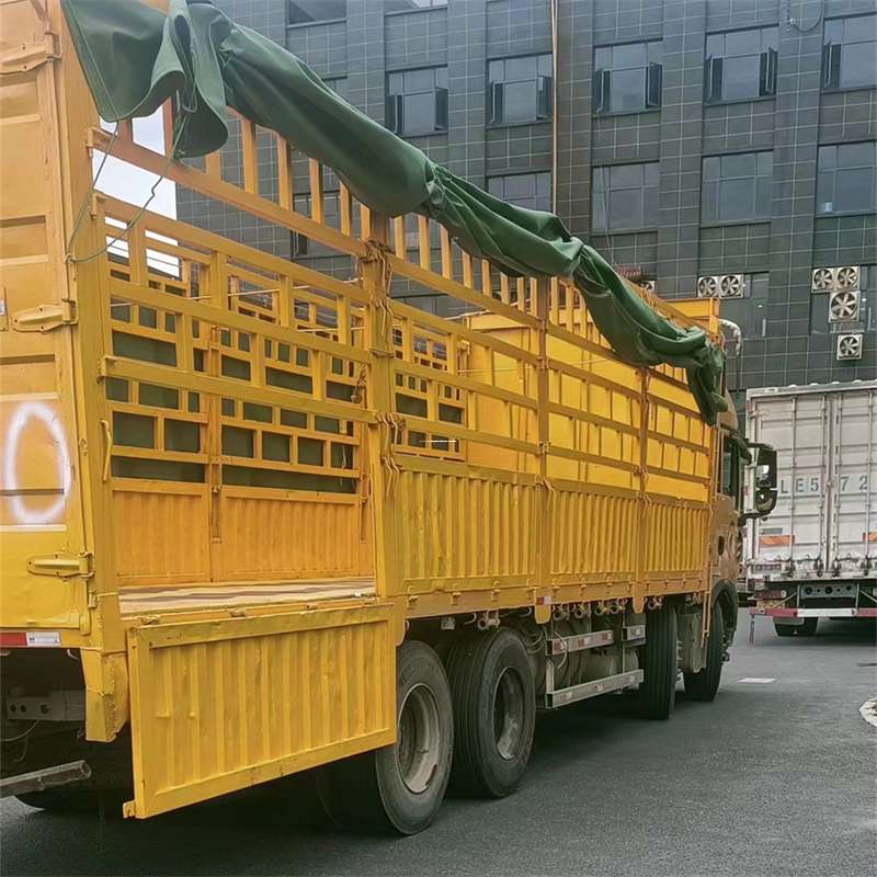 河南安阳林州至宜宾货运专线一站式物流服务，让货物畅行无忧